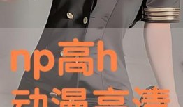 np漫画,穿越时空的奇幻冒险之旅