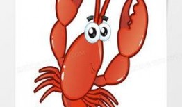 龙虾漫画,趣味横生的海洋冒险之旅